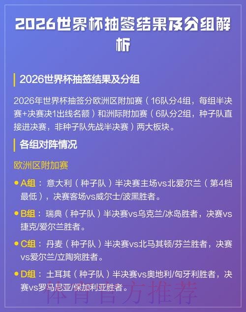 2026年世界杯比赛结果全面分析报告