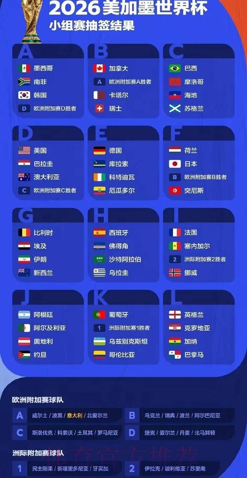 2026年世界杯比赛结果全面分析报告